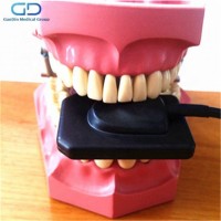 CE Approved Hot Sale Dental RVG/ xrays DXR-01/02